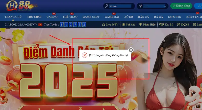 Lỗi khi nhập sai thông tin