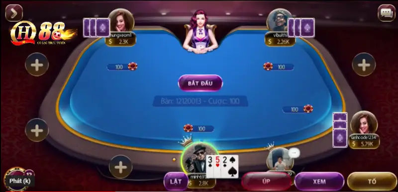 Không cược all in